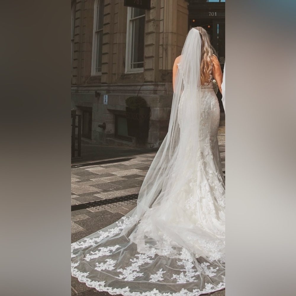 👰♀️ Pronovias Dralia Wedding Dress – Size 8 - Picture 11 of 11